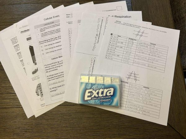 Gum In Classrooms: Beneficial or Distracting?