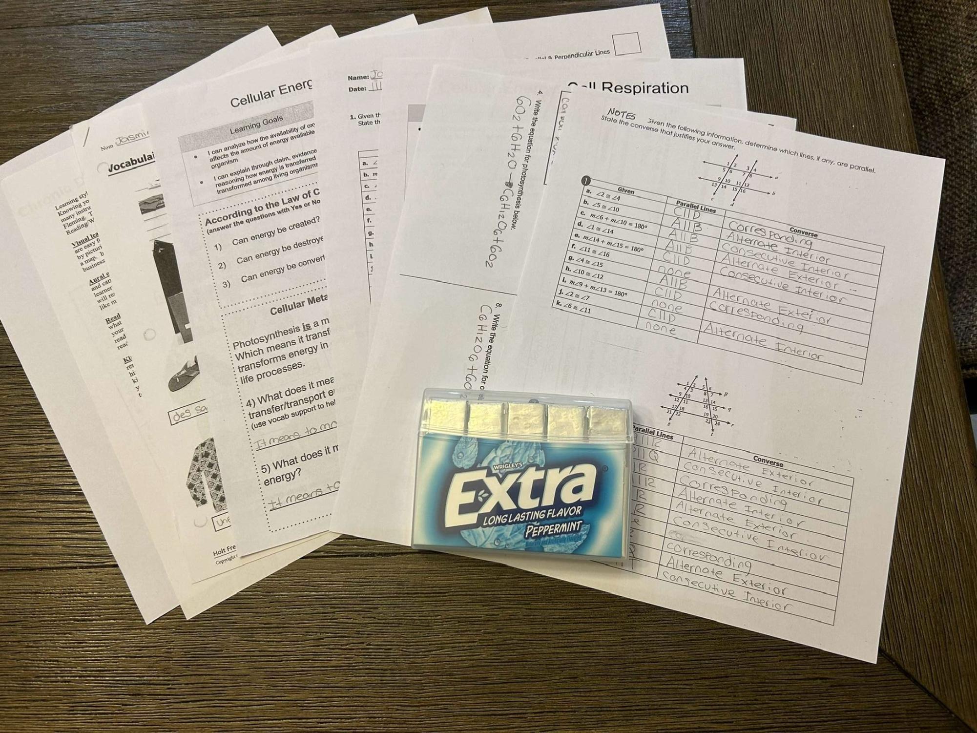 Gum In Classrooms: Beneficial or Distracting?