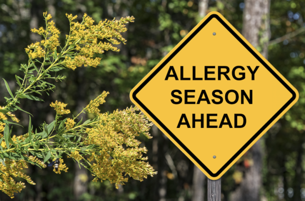 Navigation to Story: How Do Spring Allergies Affect You?