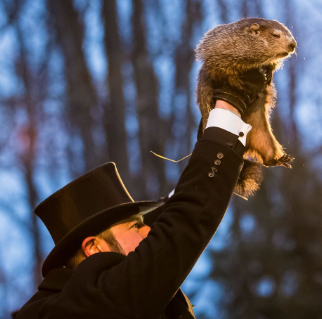 Groundhog Predicts Six More Weeks Of Winter