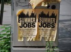 Catch the Sun and a Paycheck