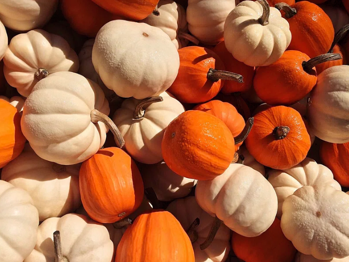 Falling for Fall: Why Everyone Loves Autumn