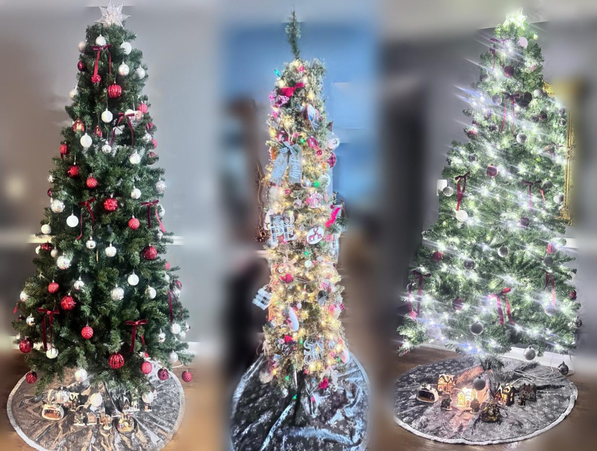 Decorated and Jolly Trees Make The Season Bright