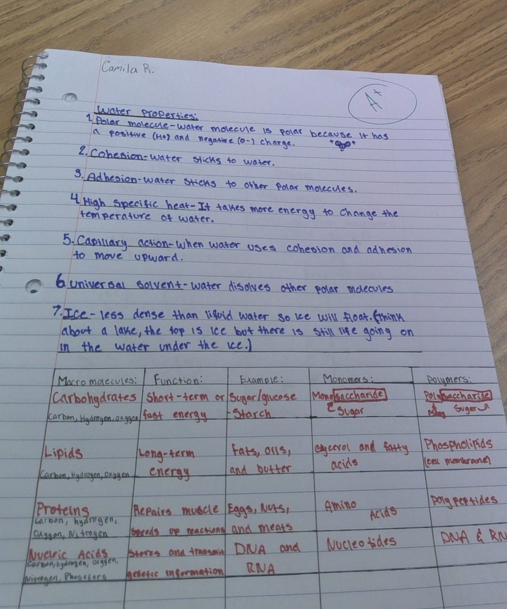 The Struggle to Straight A's: Common Student Obstacles and Solutions