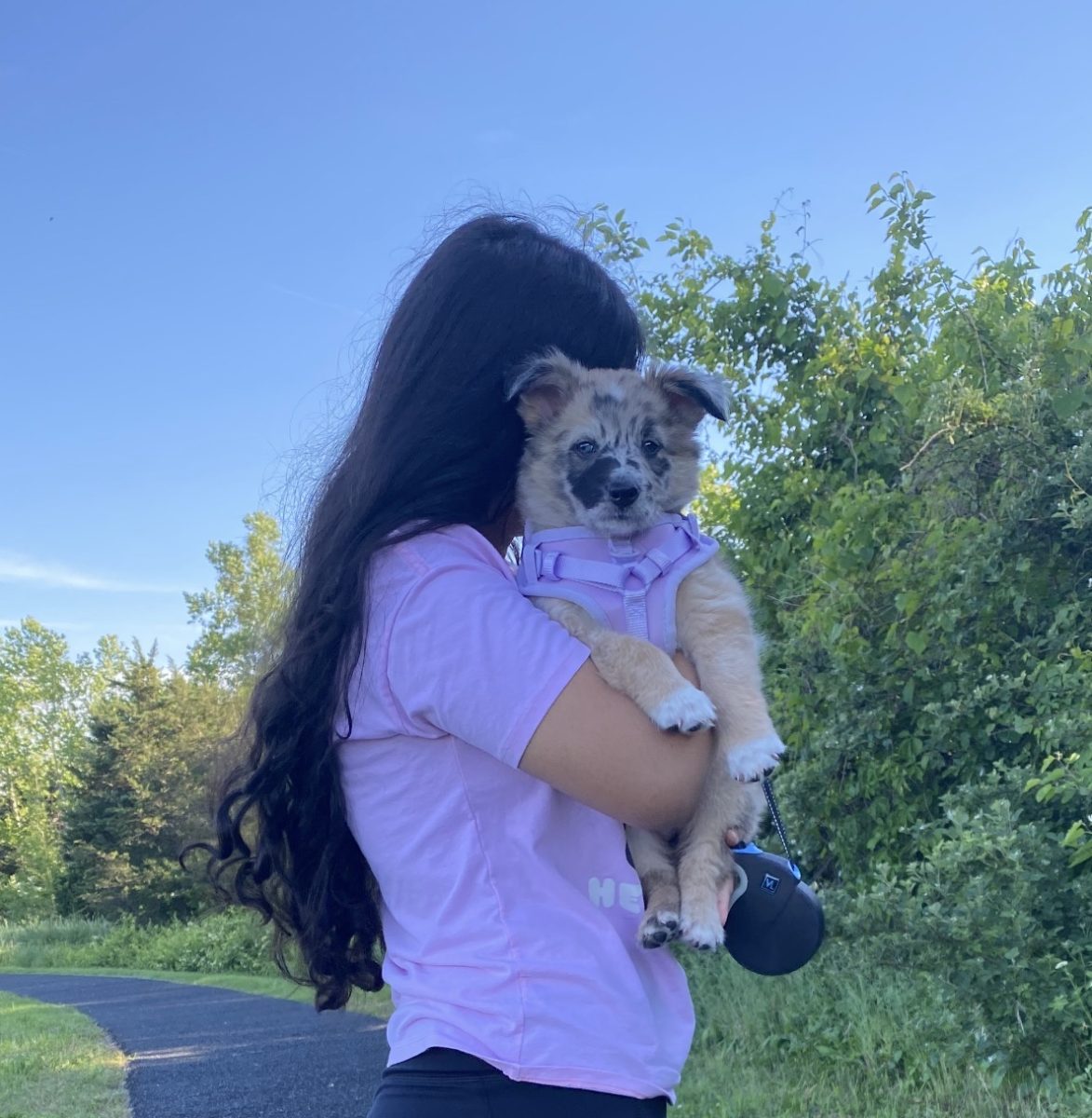 Pets Bring Comfort And Love To OHS Students