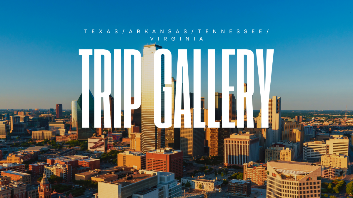 White Typographic Creative Texas Dallas City Landscape Desktop Wallpaper (2)